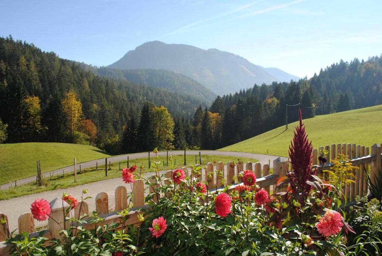 Familienbauernhof Glockriegl Villa Lunz am See Exterior foto