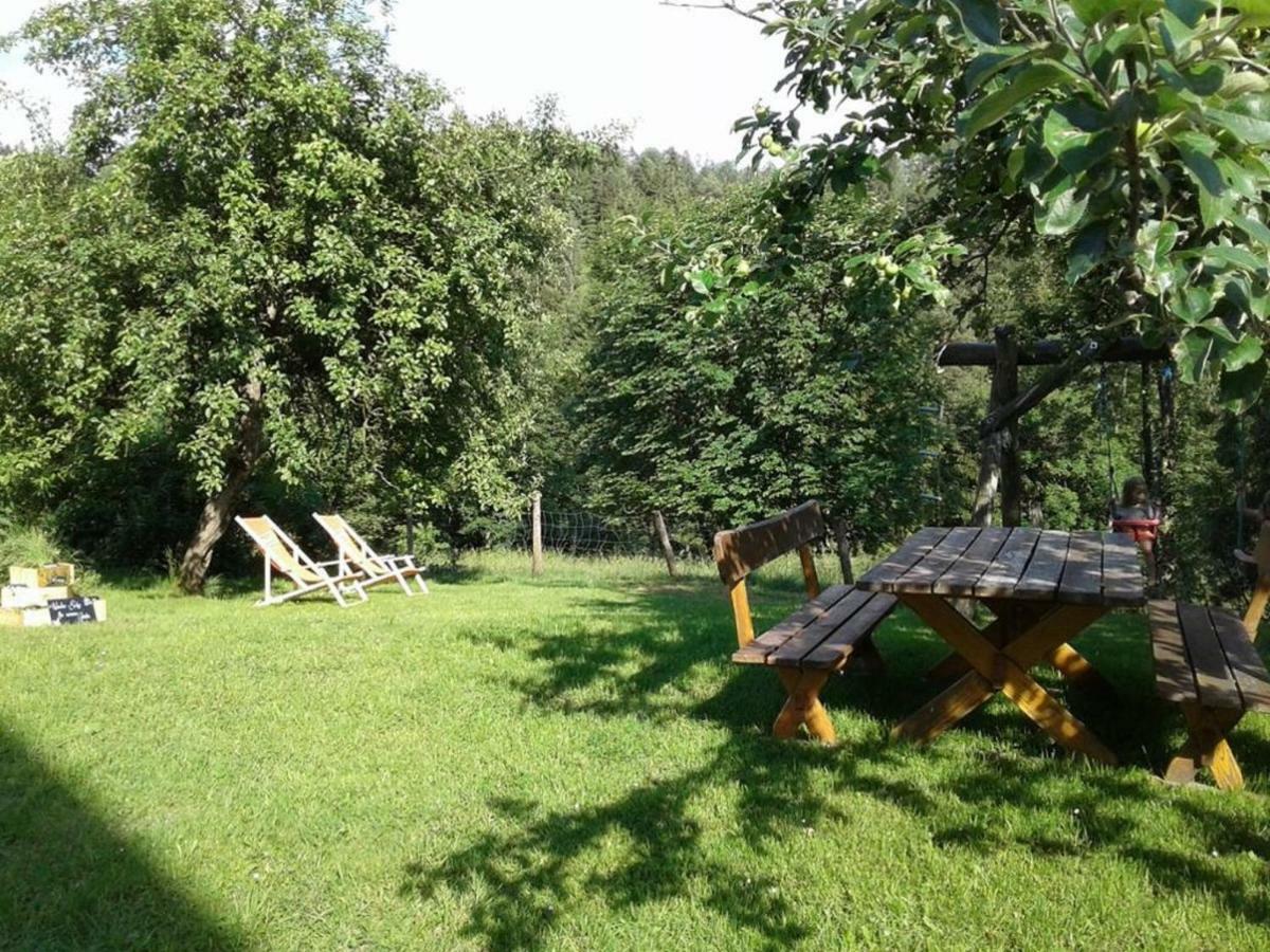 Familienbauernhof Glockriegl Villa Lunz am See Exterior foto